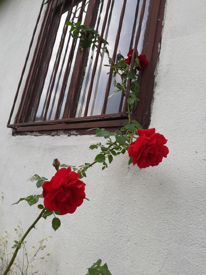 Vila Eva Meduvrsje 外观 照片