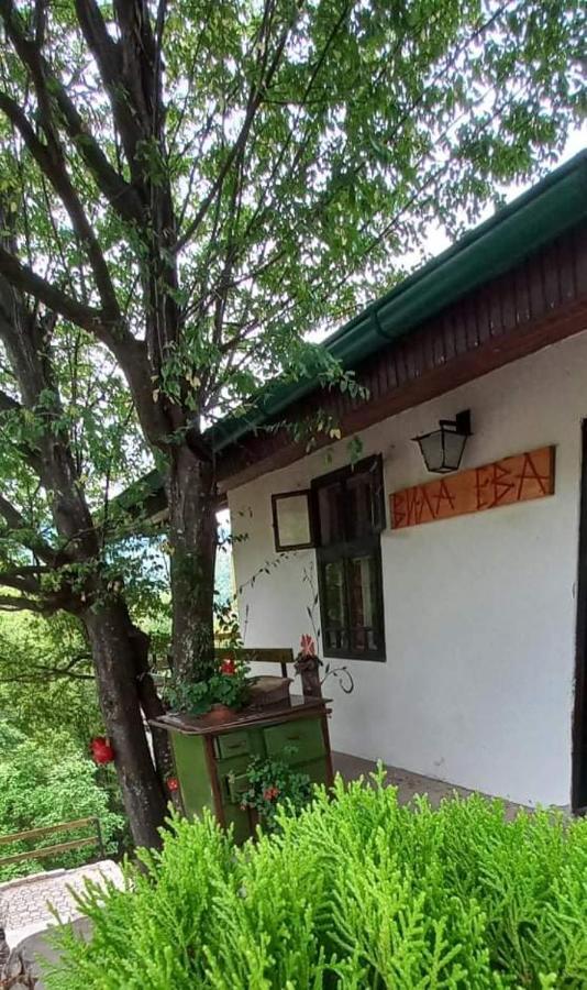 Vila Eva Meduvrsje 外观 照片